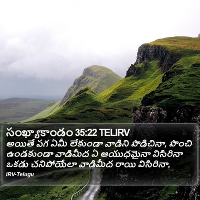 సంఖ్యాకాండం 35:22 TELIRV Bible Verse Image