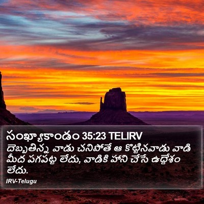 సంఖ్యాకాండం 35:23 TELIRV Bible Verse Image