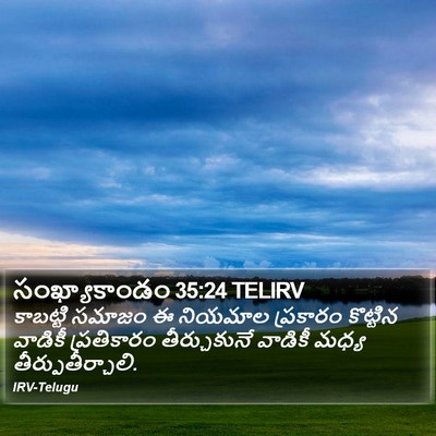 సంఖ్యాకాండం 35:24 TELIRV Bible Verse Image