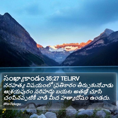 సంఖ్యాకాండం 35:27 TELIRV Bible Verse Image