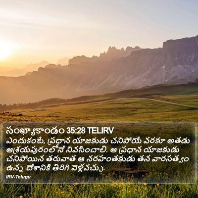 సంఖ్యాకాండం 35:28 TELIRV Bible Verse Image