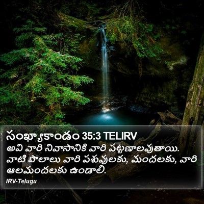సంఖ్యాకాండం 35:3 TELIRV Bible Verse Image