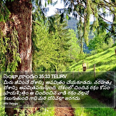 సంఖ్యాకాండం 35:33 TELIRV Bible Verse Image