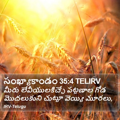 సంఖ్యాకాండం 35:4 TELIRV Bible Verse Image