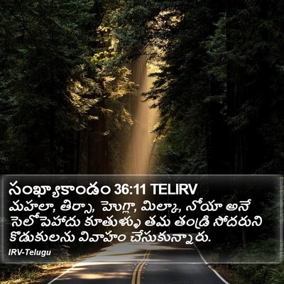 సంఖ్యాకాండం 36:11 TELIRV Bible Verse Image