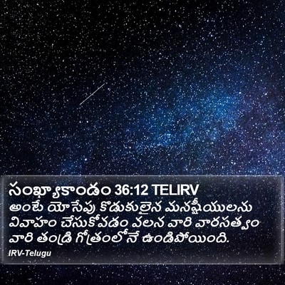 సంఖ్యాకాండం 36:12 TELIRV Bible Verse Image