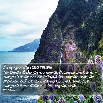 సంఖ్యాకాండం 36:2 TELIRV Bible Verse Image