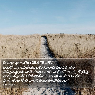 సంఖ్యాకాండం 36:4 TELIRV Bible Verse Image