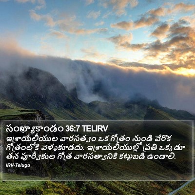 సంఖ్యాకాండం 36:7 TELIRV Bible Verse Image