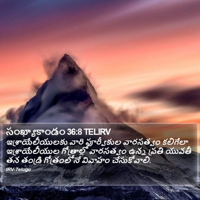 సంఖ్యాకాండం 36:8 TELIRV Bible Verse Image