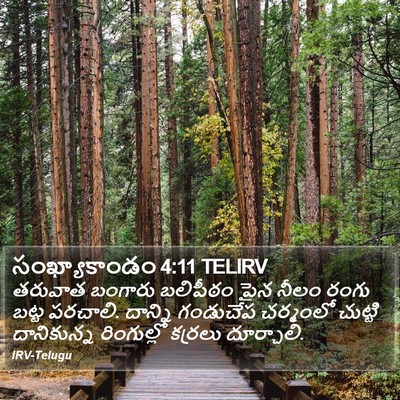 సంఖ్యాకాండం 4:11 TELIRV Bible Verse Image
