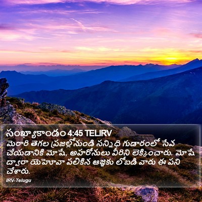 సంఖ్యాకాండం 4:45 TELIRV Bible Verse Image