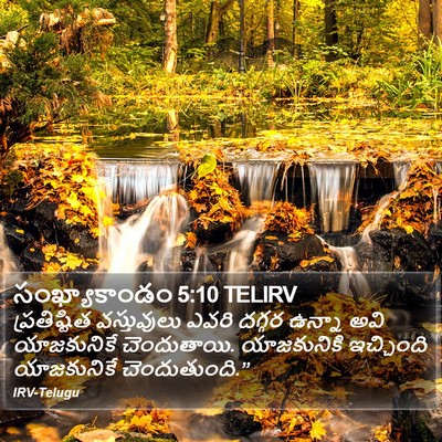 సంఖ్యాకాండం 5:10 TELIRV Bible Verse Image