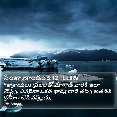 సంఖ్యాకాండం 5:12 TELIRV Bible Verse Image