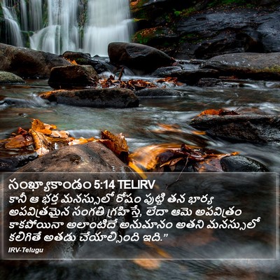 సంఖ్యాకాండం 5:14 TELIRV Bible Verse Image