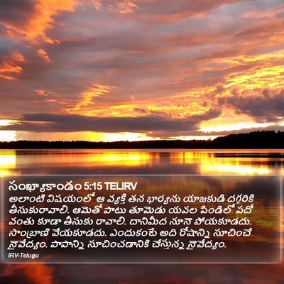 సంఖ్యాకాండం 5:15 TELIRV Bible Verse Image