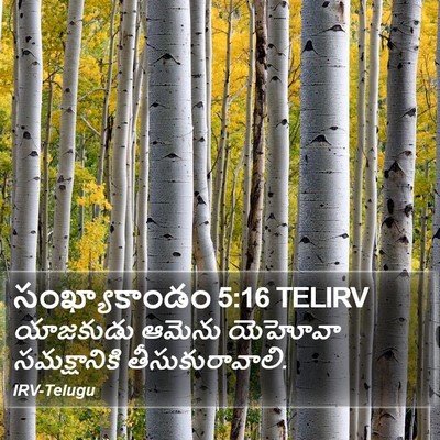 సంఖ్యాకాండం 5:16 TELIRV Bible Verse Image