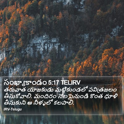 సంఖ్యాకాండం 5:17 TELIRV Bible Verse Image