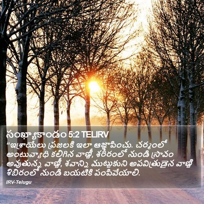 సంఖ్యాకాండం 5:2 TELIRV Bible Verse Image