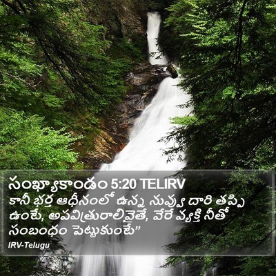 సంఖ్యాకాండం 5:20 TELIRV Bible Verse Image