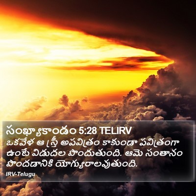 సంఖ్యాకాండం 5:28 TELIRV Bible Verse Image