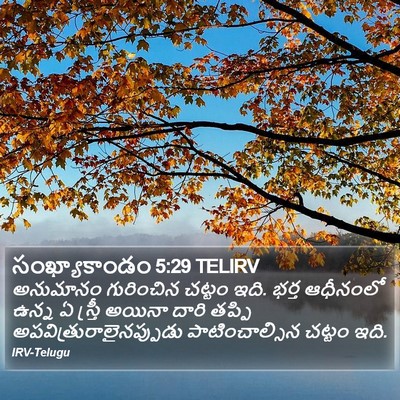 సంఖ్యాకాండం 5:29 TELIRV Bible Verse Image