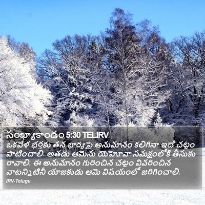 సంఖ్యాకాండం 5:30 TELIRV Bible Verse Image