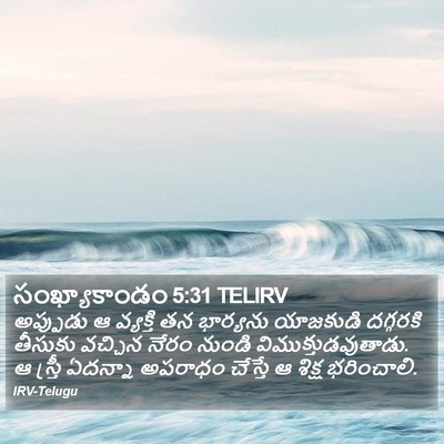 సంఖ్యాకాండం 5:31 TELIRV Bible Verse Image