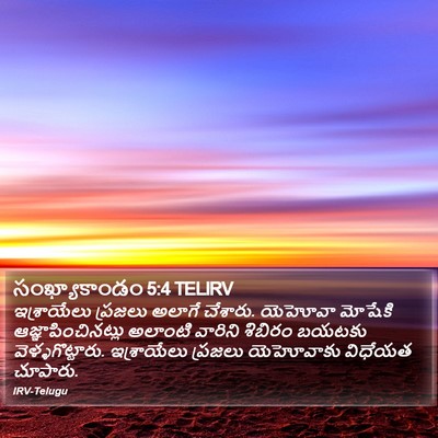 సంఖ్యాకాండం 5:4 TELIRV Bible Verse Image