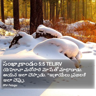 సంఖ్యాకాండం 5:5 TELIRV Bible Verse Image