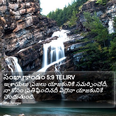 సంఖ్యాకాండం 5:9 TELIRV Bible Verse Image