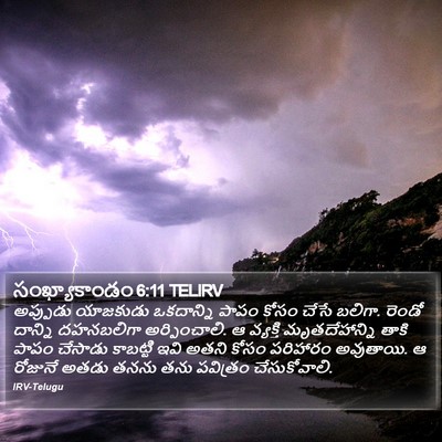 సంఖ్యాకాండం 6:11 TELIRV Bible Verse Image