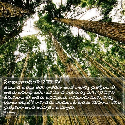 సంఖ్యాకాండం 6:12 TELIRV Bible Verse Image