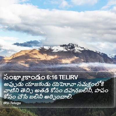 సంఖ్యాకాండం 6:16 TELIRV Bible Verse Image