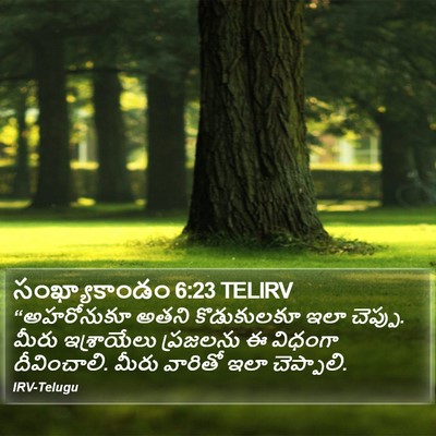 సంఖ్యాకాండం 6:23 TELIRV Bible Verse Image