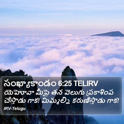 సంఖ్యాకాండం 6:25 TELIRV Bible Verse Image