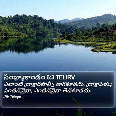 సంఖ్యాకాండం 6:3 TELIRV Bible Verse Image