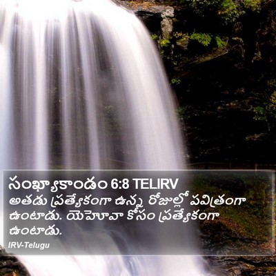 సంఖ్యాకాండం 6:8 TELIRV Bible Verse Image