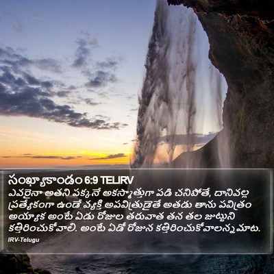 సంఖ్యాకాండం 6:9 TELIRV Bible Verse Image