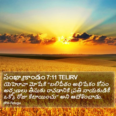 సంఖ్యాకాండం 7:11 TELIRV Bible Verse Image
