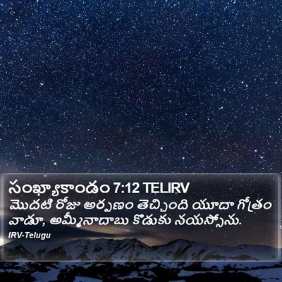 సంఖ్యాకాండం 7:12 TELIRV Bible Verse Image