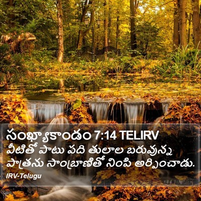 సంఖ్యాకాండం 7:14 TELIRV Bible Verse Image