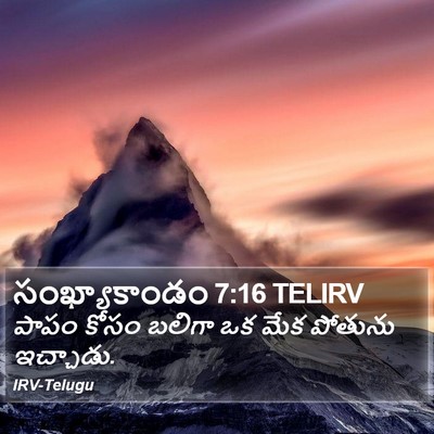 సంఖ్యాకాండం 7:16 TELIRV Bible Verse Image