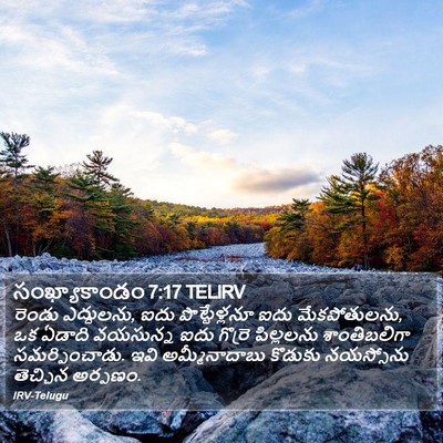 సంఖ్యాకాండం 7:17 TELIRV Bible Verse Image