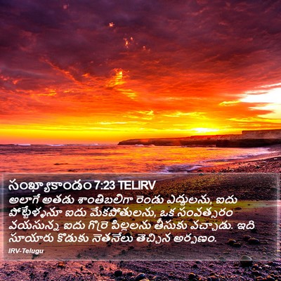 సంఖ్యాకాండం 7:23 TELIRV Bible Verse Image