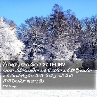 సంఖ్యాకాండం 7:27 TELIRV Bible Verse Image
