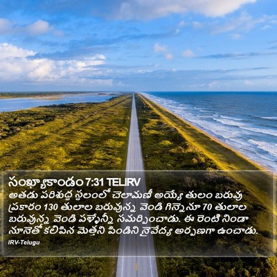 సంఖ్యాకాండం 7:31 TELIRV Bible Verse Image