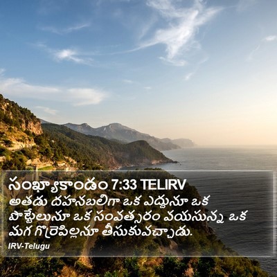 సంఖ్యాకాండం 7:33 TELIRV Bible Verse Image