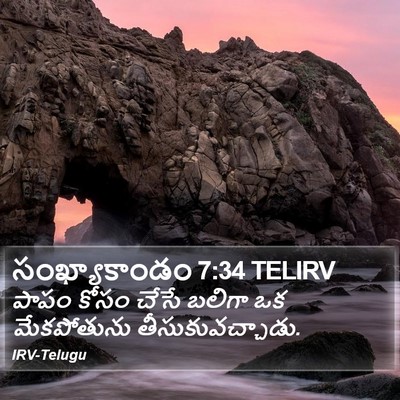 సంఖ్యాకాండం 7:34 TELIRV Bible Verse Image