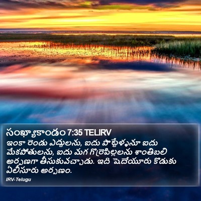 సంఖ్యాకాండం 7:35 TELIRV Bible Verse Image